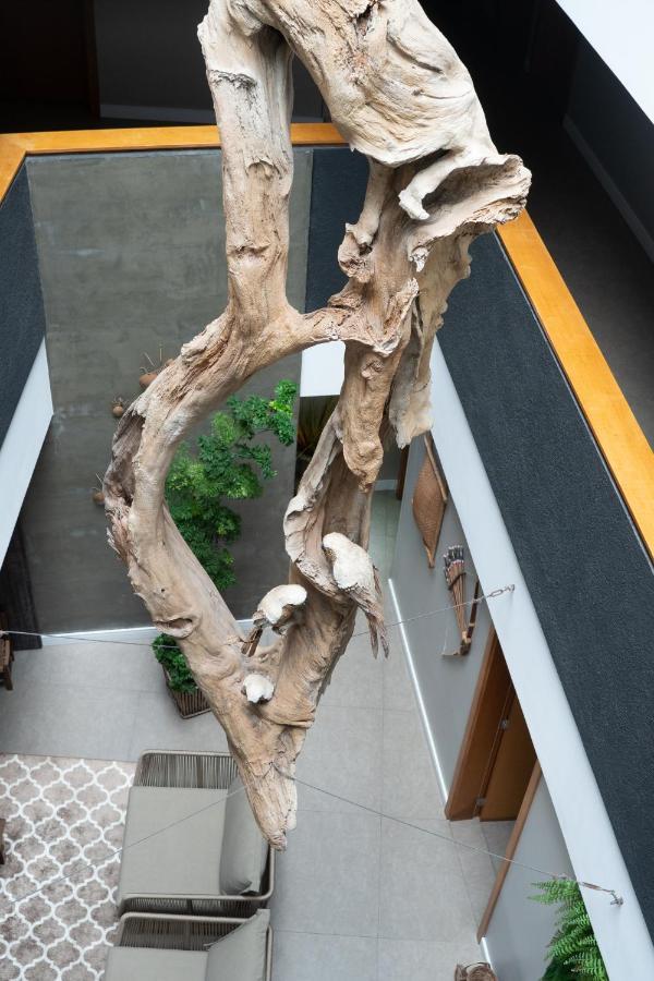 Arua Pousada Boutique Torres Εξωτερικό φωτογραφία